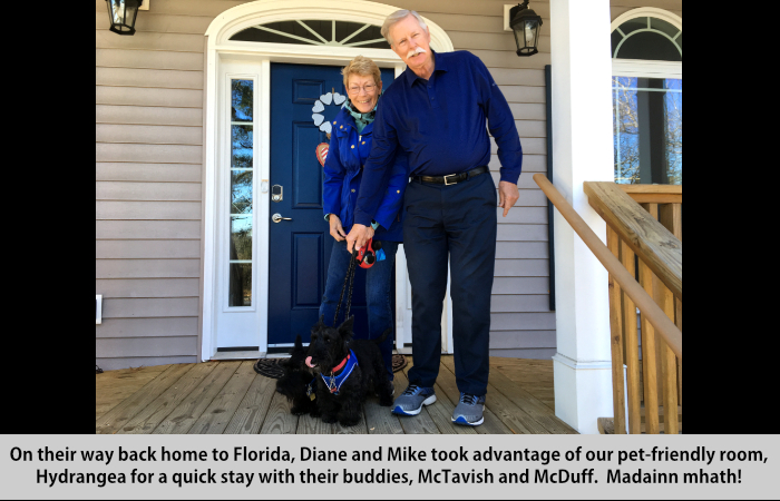 On their way back home to Florida, Diane and Mike took advantage of our pet-friendly room, Hydrangea, for a quick stay with their buddies, McTavish and McDuff.Madainn mhath!