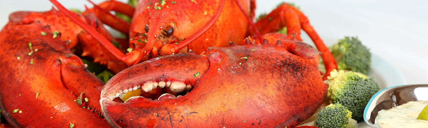 Lobster Closeup Slider