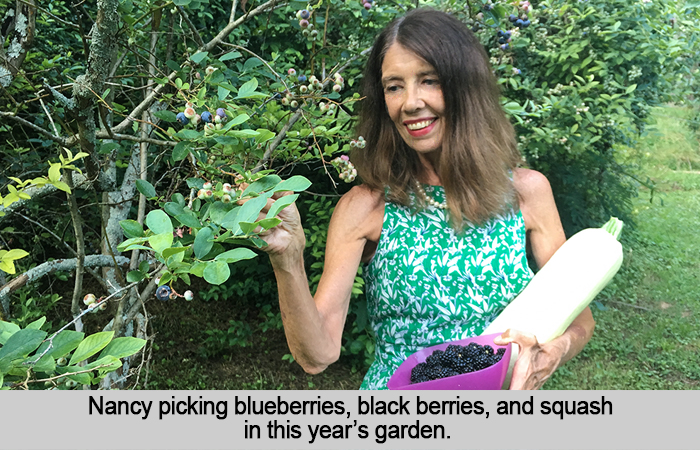 Nancy Picks 2018 Harvest at St Francis Cottage