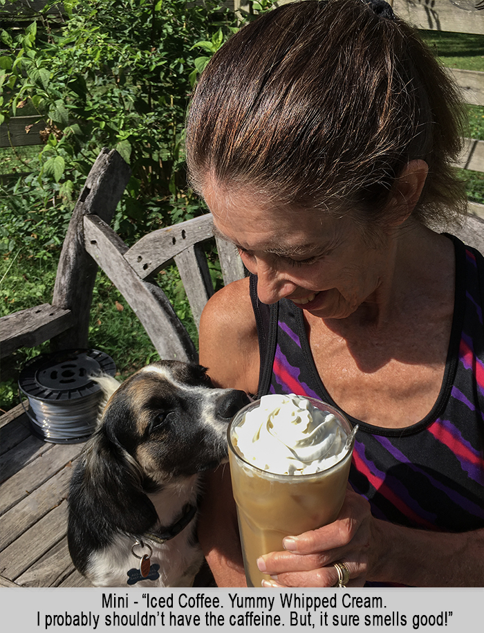 Mini Bobo and Nancy Sharing an Iced Coffee at St Francis Cottage