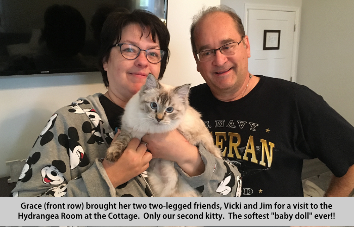 Grace, the kitty, brought here two two-legged friends, Vicki and Jim for a visit in the Hydrangea room at the Cottage.  Only our second kitty.  The softest 